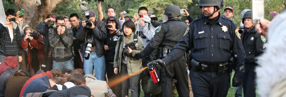 uc davis occupy wall street