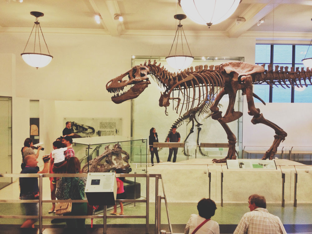 new york city museum of natural history dinosaur