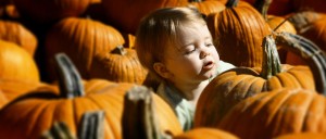 lucy pumpkin patch